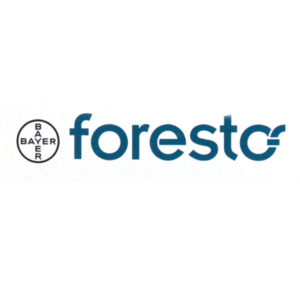 Foresto Foresto