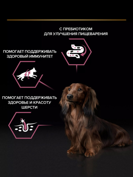 Pro Plan Small&Mini Adult Sensitive Skin, паучи, лосось в соусе