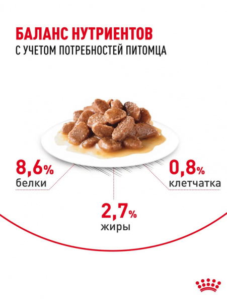 Royal Canin Hairball Care купить в ZooKorm24.ru
