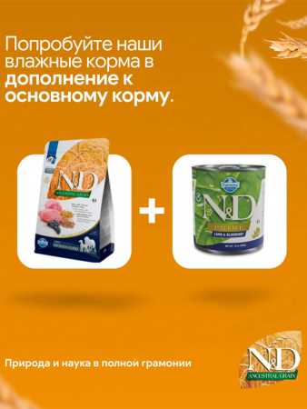 Farmina Ancestral Grain N&D Dog Adult Medium&Maxi Для средних и крупных пород, Ягненок, черника, спельта и овес