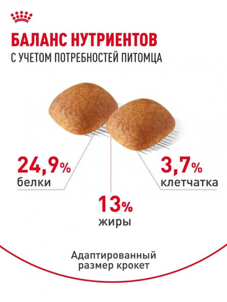 Royal Canin Golden Retriever Adult купить в ZooKorm24.ru
