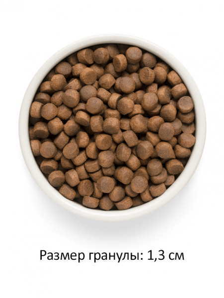 Premier Cat Adult Large Lamb&Turkey купить в ZooKorm24.ru