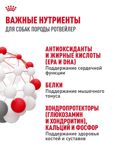 Royal Canin Rottweiler Adult купить в ZooKorm24.ru
