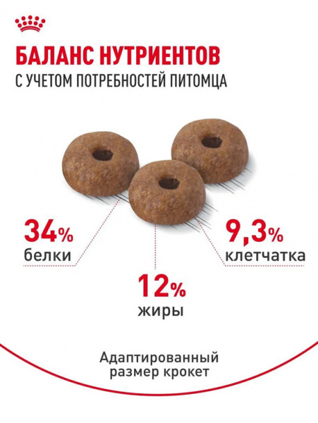 Royal Canin Appetite Control Care купить в ZooKorm24.ru
