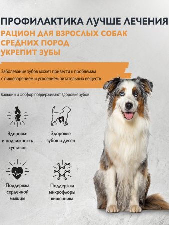 Brit Care Dog Adult M для взрослых собак средних пород, здоровье зубов, индейка