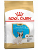 Royal Canin French Bulldog Puppy