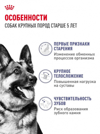 Royal Canin Maxi Adult 5+ купить в ZooKorm24.ru