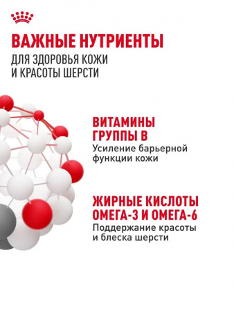 Royal Canin Mini Dermacomfort сухой корм для взрослых собак мелких пород при раздражениях кожи, связанных с повышенной чувствительностью