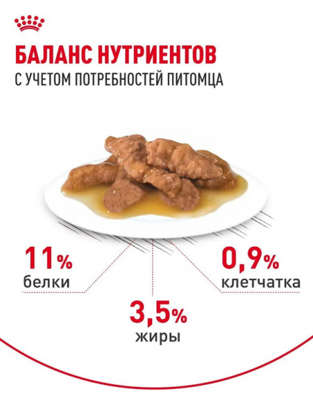 Royal Canin Indoor Sterilised купить в ZooKorm24.ru
