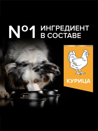 Pro Plan Medium Adult Everyday Nutrition, курица