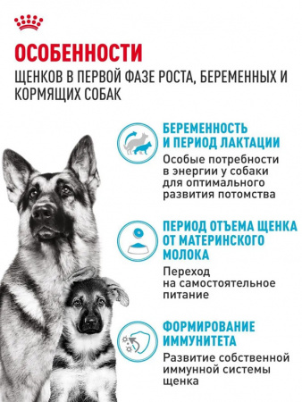 Royal Canin Maxi Starter