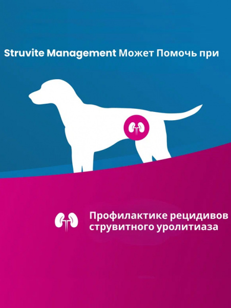 Farmina Vet Life Canine Struvite Management купить в ZooKorm24.ru