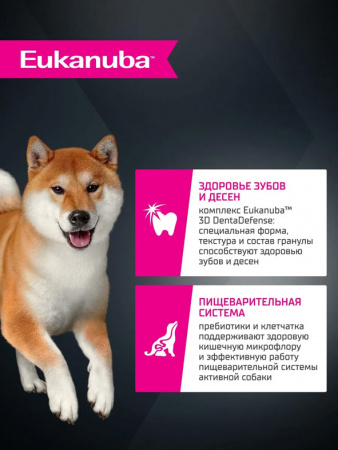 Eukanuba Adult для мелких и средних пород, ягненок