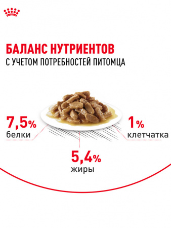 Royal Canin Medium Adult, собаки, кусочки в соусе