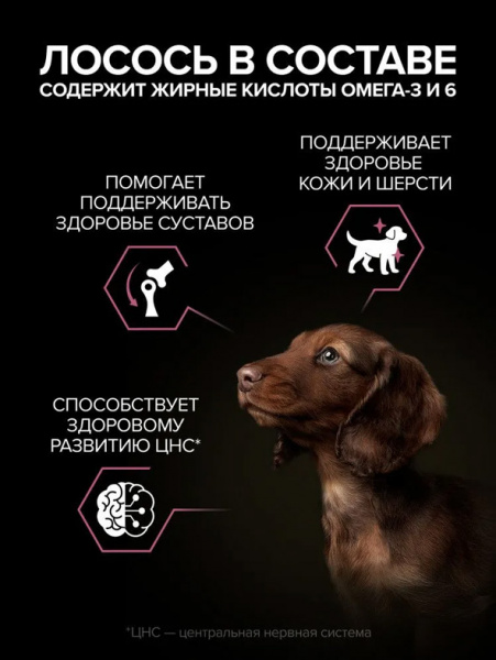 Pro Plan Small&Mini Puppy Sensitive Skin купить в ZooKorm24.ru
