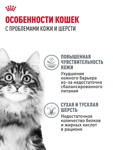 Royal Canin Hair&Skin Care купить в ZooKorm24.ru
