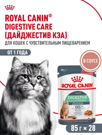 Royal Canin Digestive Care влажный корм для взрослых кошек с чувствительным пищеварением, кусочки в соусе, в паучах
