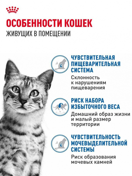 Royal Canin Indoor Sterilised купить в ZooKorm24.ru