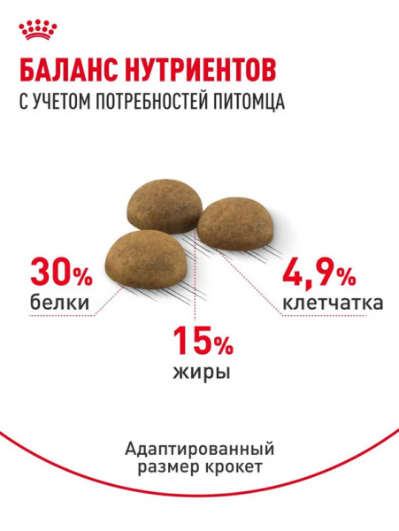 Royal Canin Indoor Long Hair купить в ZooKorm24.ru
