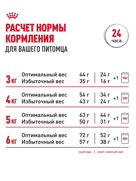 Royal Canin Ageing 12+ купить в ZooKorm24.ru
