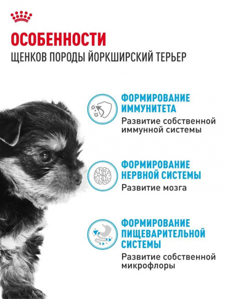 Royal Canin Yorkshire Terrier Puppy купить в ZooKorm24.ru
