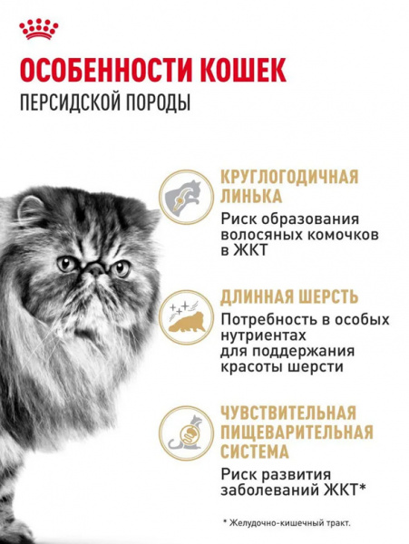 Royal Canin Persian Adult купить в ZooKorm24.ru

