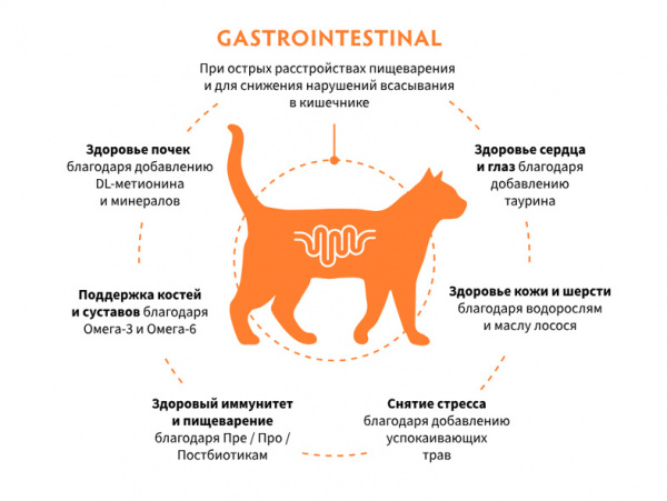 Grandorf Cat Vet Gastrointestinal купить в ZooKorm24.ru
