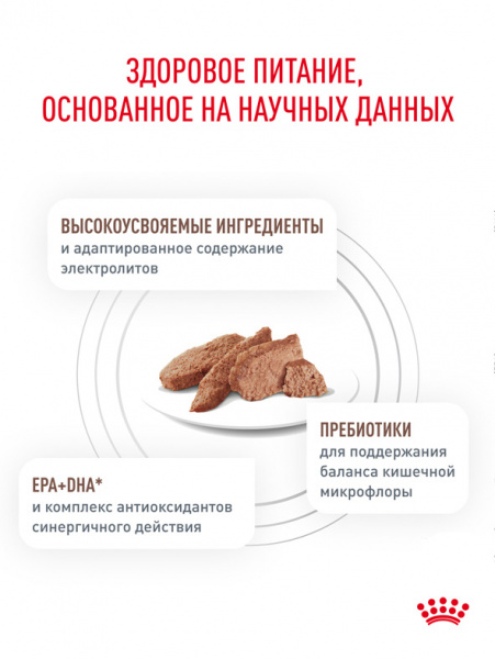 Royal Canin Gastrointestinal паштет купить в ZooKorm24.ru
