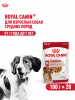 Royal Canin Medium Adult, собаки, кусочки в соусе