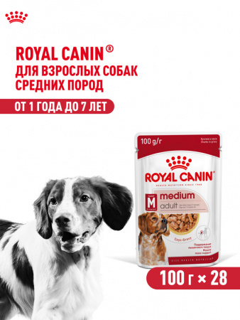 Royal Canin Medium Adult, собаки, кусочки в соусе