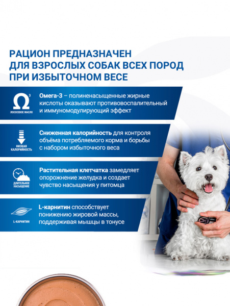 Monge VetSolution Dog Diabetic and Obesity влажный диетический корм для собак, консервы