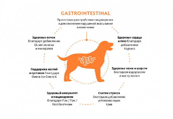 Grandorf Dog Vet Gastrointestinal купить в ZooKorm24.ru