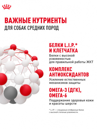 Royal Canin Medium Adult, собаки, кусочки в соусе