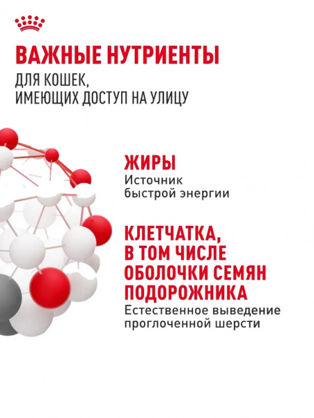 Royal Canin Fit 32 купить в ZooKorm24.ru
