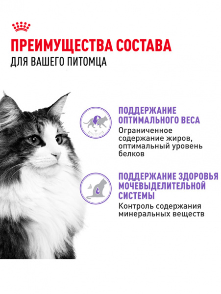 Royal Canin Sterilised купить в ZooKorm24.ru
