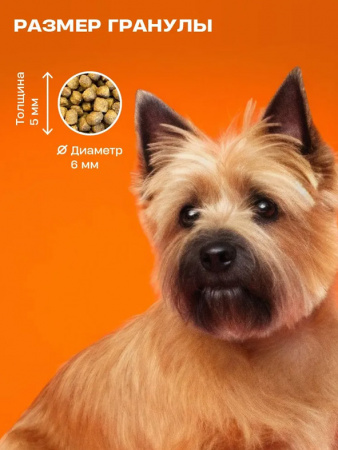 Wellement Puppy Small сухой корм для щенков маленьких пород, утка
