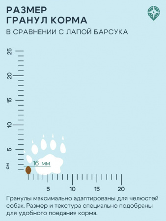 ТерриториЯ Кавказ сухой корм для взрослых собак средних и крупных пород, индейка с брусникой