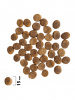 Brit Premium Dog Puppy&Junior Large&Giant (L+XL)