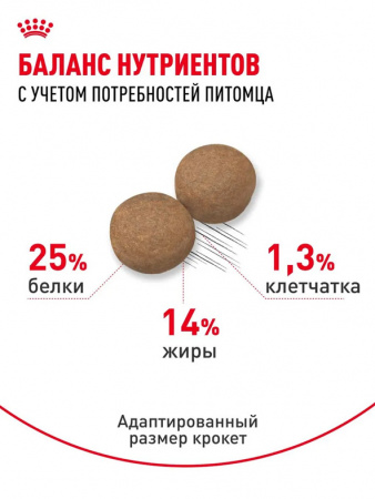 Royal Canin Medium Adult сухой корм для взрослых собак средних пород (11-25 кг) с 12 месяцев до 7 лет