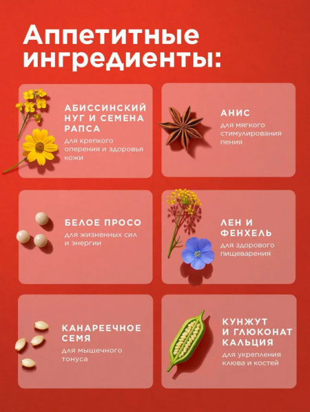 Rio Смесь для стимулирования пения для всех видов птиц, 240гр