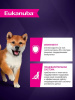 Eukanuba Puppy для щенков мелких и средних пород, ягненок