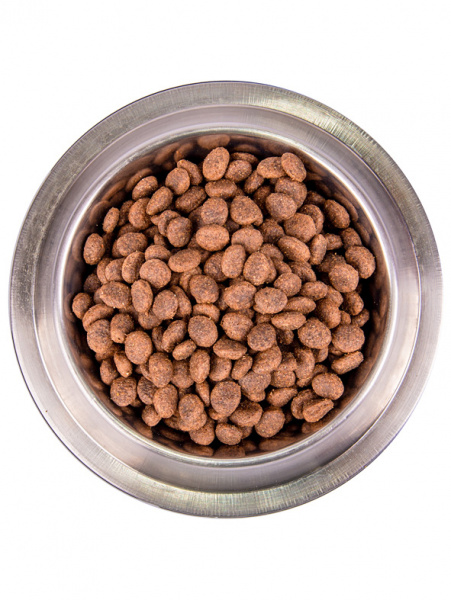 Monge Dog BWild Low Grain Wild Boar купить в ZooKorm24.ru
