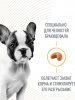 Royal Canin French Bulldog Puppy