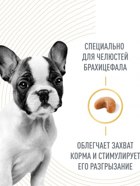 Royal Canin French Bulldog Puppy купить в ZooKorm24.ru
