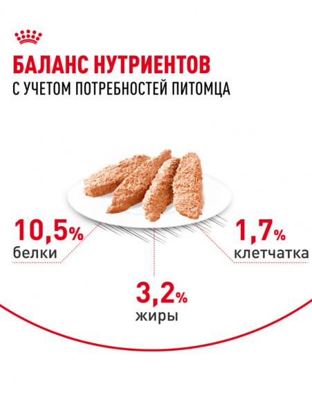Royal Canin Indoor Sterilised купить в ZooKorm24.ru
