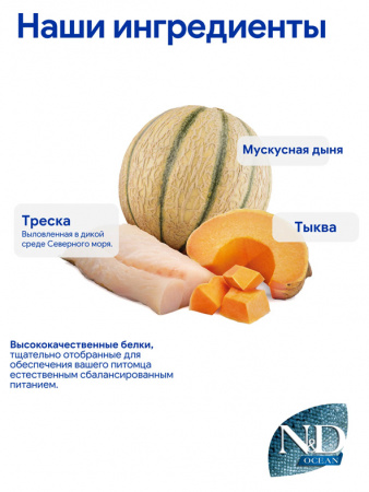 Farmina Ocean N&D Dog Puppy Medium&Maxi Grain-Free Для щенков средних и крупных пород, Треска, тыква и дыня