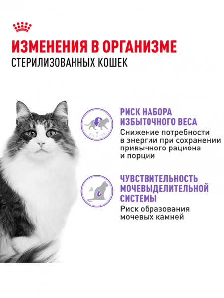 Royal Canin Sterilised купить в ZooKorm24.ru
