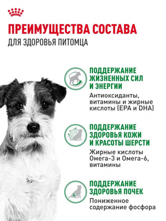 Royal Canin Mini Ageing 12+ влажный корм для собак мелких пород старше 12 лет, кусочки в соусе, паучи