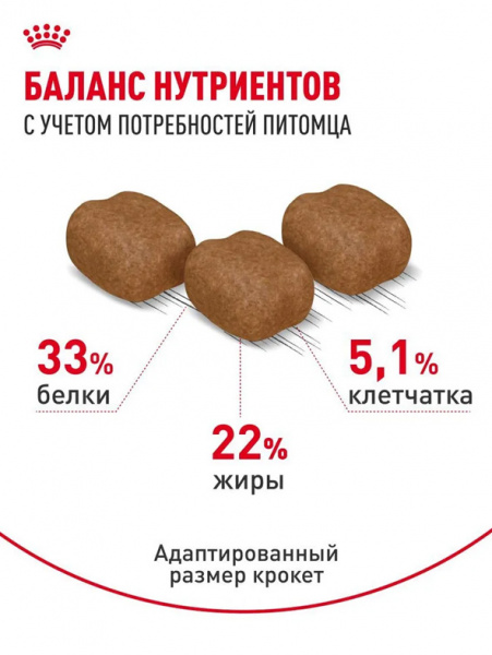 Royal Canin Hair&Skin Care купить в ZooKorm24.ru
