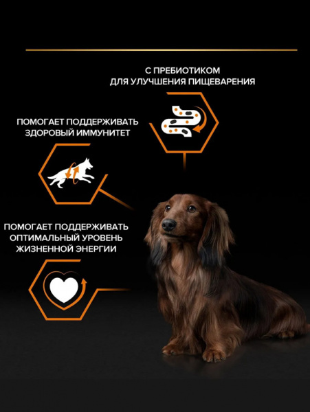 Pro Plan Small&Mini Adult Everyday Nutrition, паучи, курица в соусе